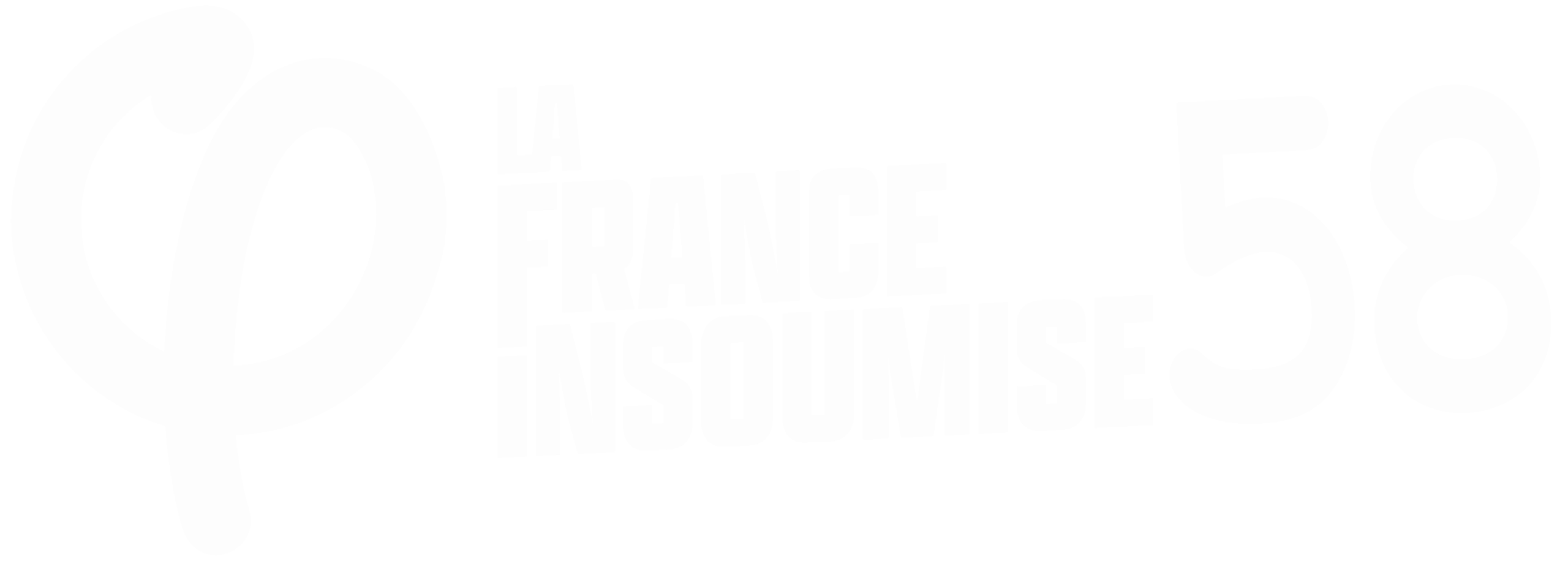 logo LFI58 blanc